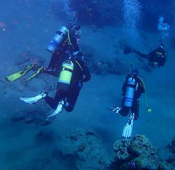 Dive Guide / Divemaster (SSI)